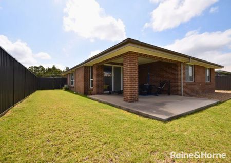 Beauty On Bowerbird - Photo 4