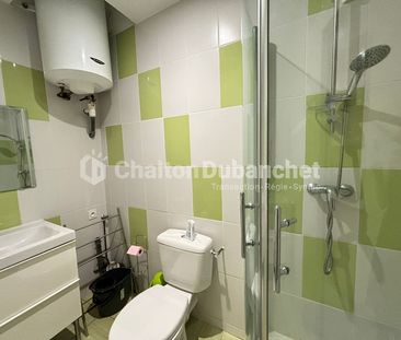 Location Appartement 1 pièce 18m² - Photo 4