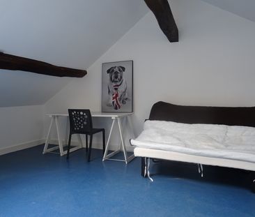 Location Appartement 1 pièce 18m² ORLEANS 45000 - Photo 3