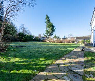 Amochrie Road - Photo 6