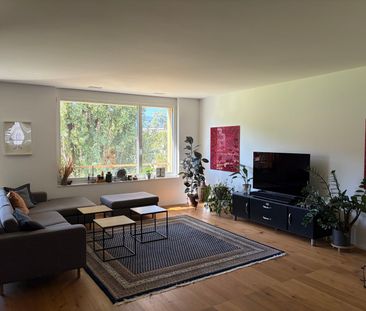 Charming furnished 3.5-Room Apartment with Balcony an rooftop terrace in the Heart of Luzern - Foto 1