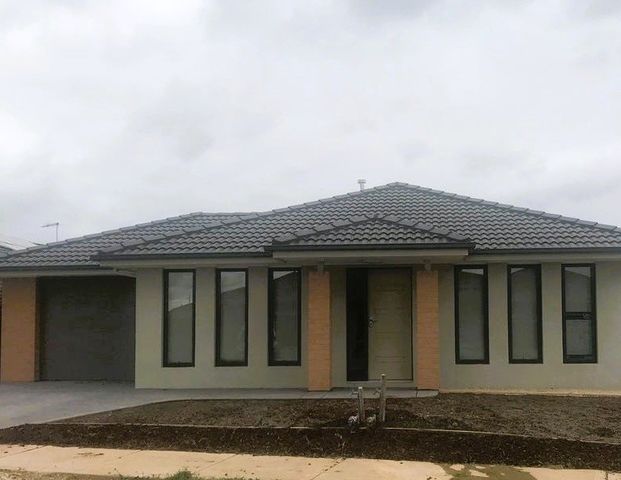 Stylish & Low-Maintenance Living in Cobblebank - Photo 1