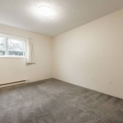 Linden Manor - 1 Bedroom - Available March 1st - Photo 1