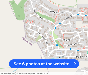 Cornflower Hill, Exeter - Photo 1