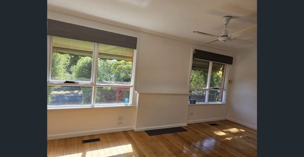 Renovated Specious 3 Bed 1 bath - Photo 1