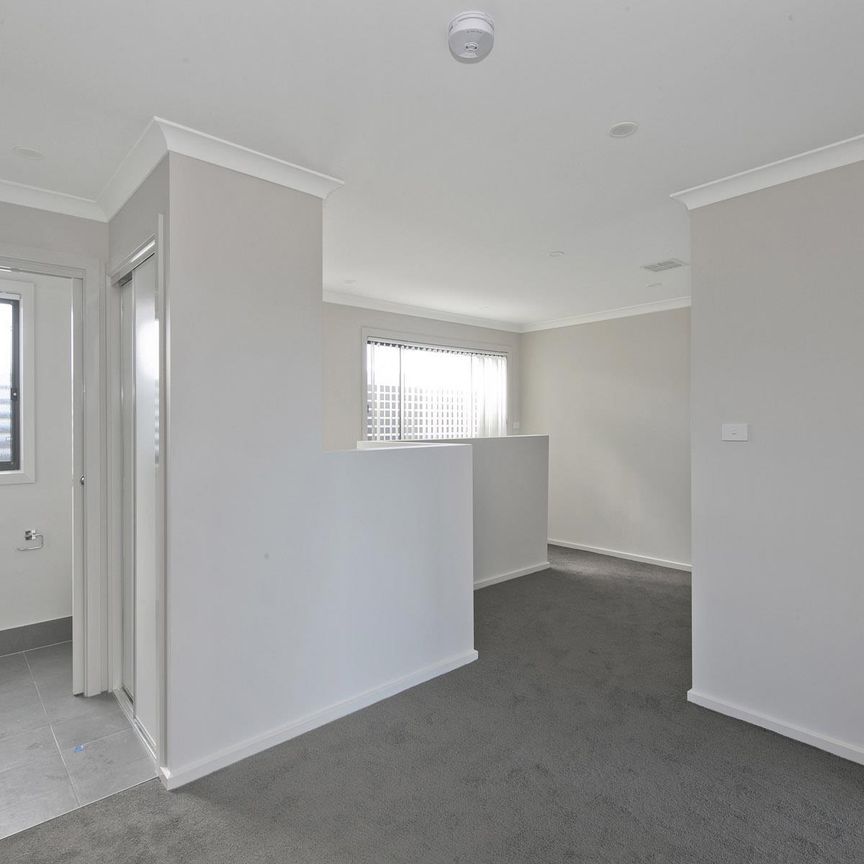 You'll love this one as much as we do - Photo 1