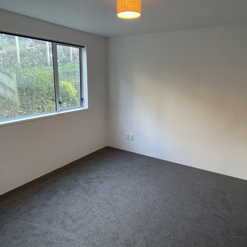 113B York Place, Dunedin Central, Dunedin City - Photo 1