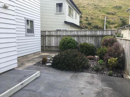 209B McLintock Street North, Johnsonville - Photo 2