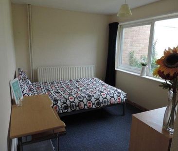 4 bedroom house share to rent - Photo 2