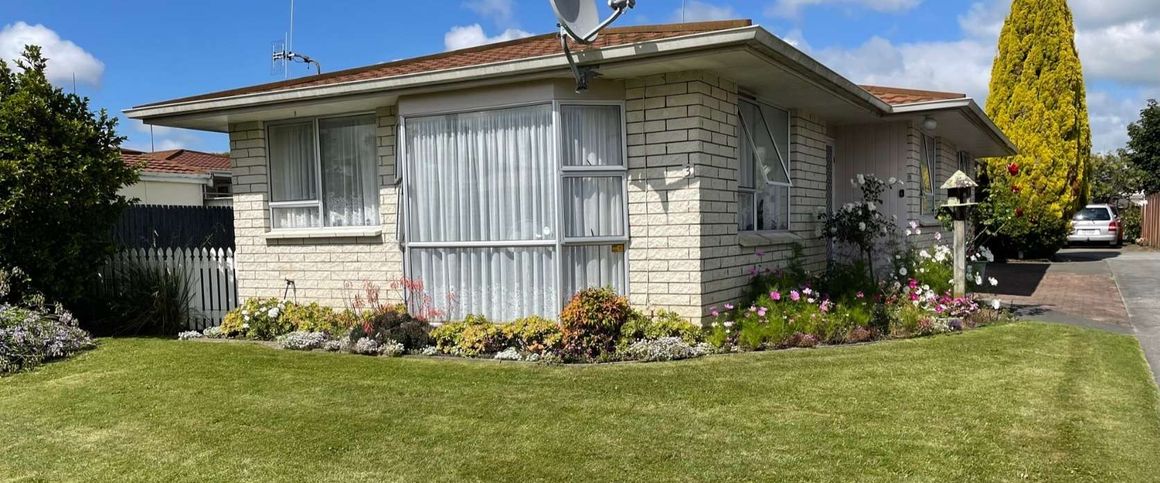 Tidy 3 bedroom in Awapuni - Photo 1