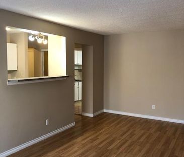 Amazing 2 Bedroom Top Floor Apartment!! - Photo 2