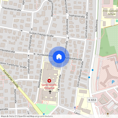 Humboldstraße 27, 65189 Hessen - Wiesbaden