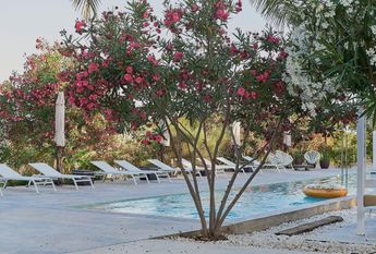 181 Diseminado P 22 P Den Vall, Santa Eulària des Riu, Balearic Islands