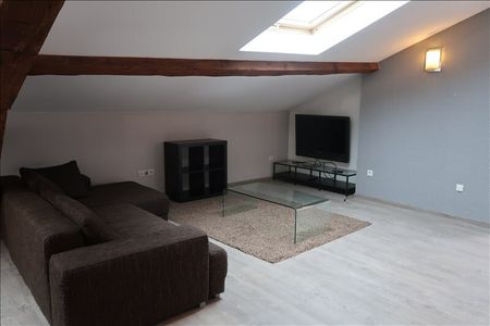 APPARTEMENT - 2 pièces - 65.96 m2 , Saint-Étienne - Photo 2