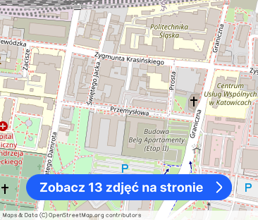 Mid-Century Modern Flat in Prime Katowice Location - Zdjęcie 1