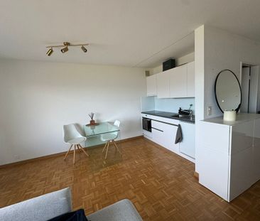 Schmucke 1-Zimmerwohnung mit Seesicht - Foto 2