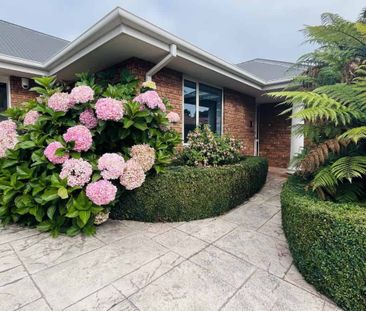 Quiet and cute - Photo 5