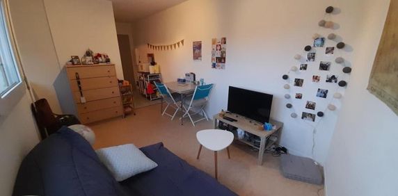 Location Appartement 1 pièce 21m² LE MANS 72000 - Photo 2