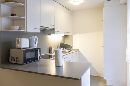 Modern furnished 3.5-room apartment in Zürich Altstetten (near Zürich-Binz) - Photo 3