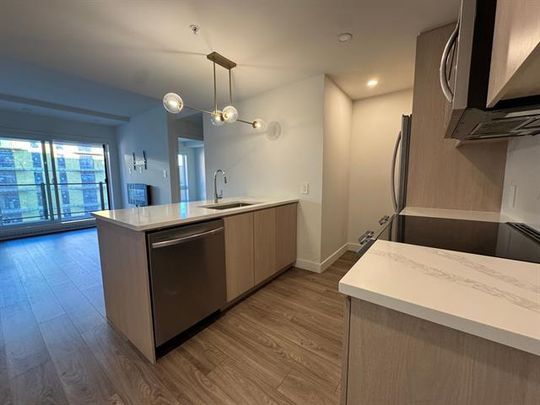 285 Boul. Hymus - Photo 1