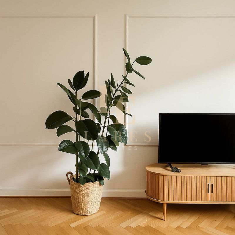 Śródmieście|2 pokoje|Parking|Metro Ratusz Arsenał - Фото 1