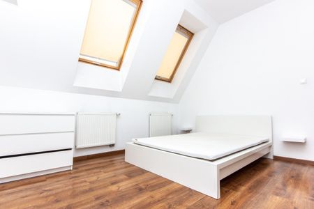 Szczecin, Stare Miasto - Фото 3