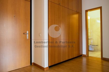 4 ½ Zimmer-Wohnung in Lugano mieten - Photo 5