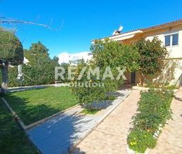 Μονοκατοικία για ενοικίαση - Σαρωνίδα - Photo 3