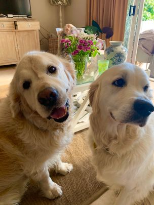 Broadbeach Waters - Photo 1