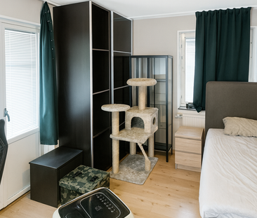 Hamnesplanaden, Uppsala - Photo 4