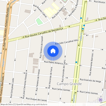 Rua Visconde De Faria, Campo Grande - Santos