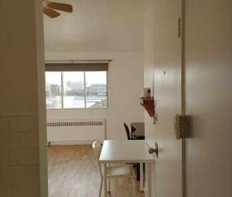 1 1/2 Studio available as of November 1,2024 facing Jean Talon Market - Photo 2