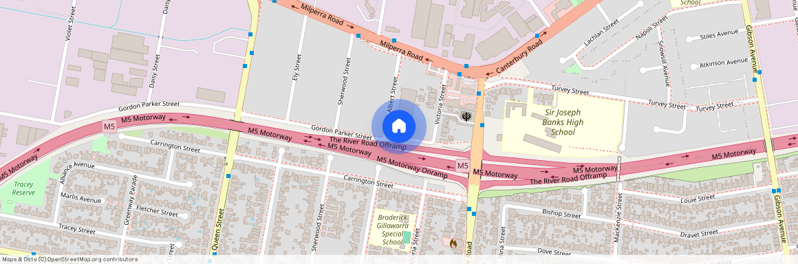 19 Albert Street, NSW 2212, Revesby