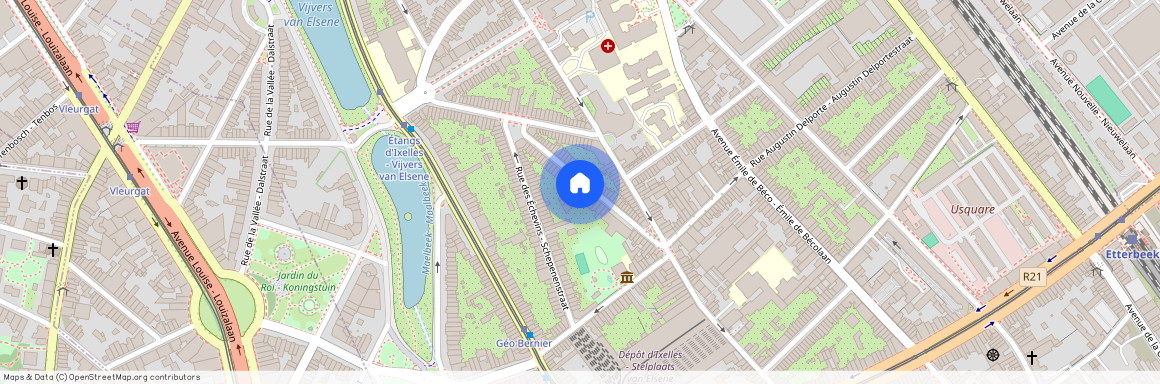 Rue Victor Greyson, 39, 1050, Ixelles