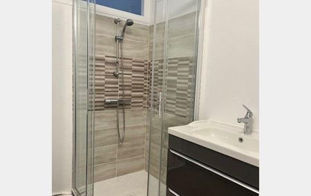 Location Appartement P3 rénové(e) Troyes - Photo 3