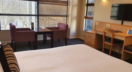 Affordable Studio - Secure Corner Apt - Photo 5