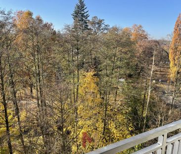 Mieszkanie na wynajem, Gorzów Wlkp., Śródmieście - Zdjęcie 3