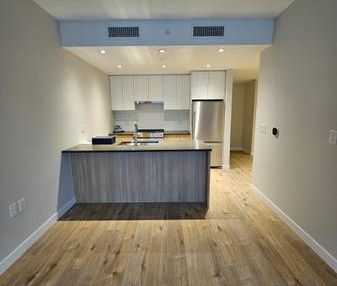 1 BED 1 BATH + FLEX (RIVER DISTRICT) - Photo 3