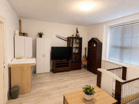 Pronájem bytu 2+kk 51 m² - Photo 1