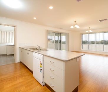 Lovely Lawson ! - Photo 4