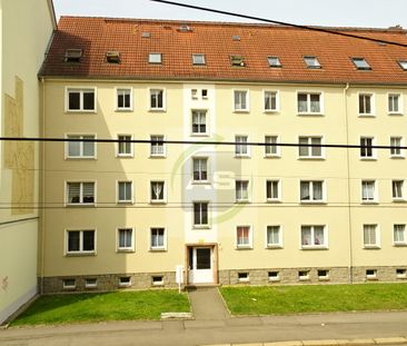 Ab ins neue Zuhause - Photo 4