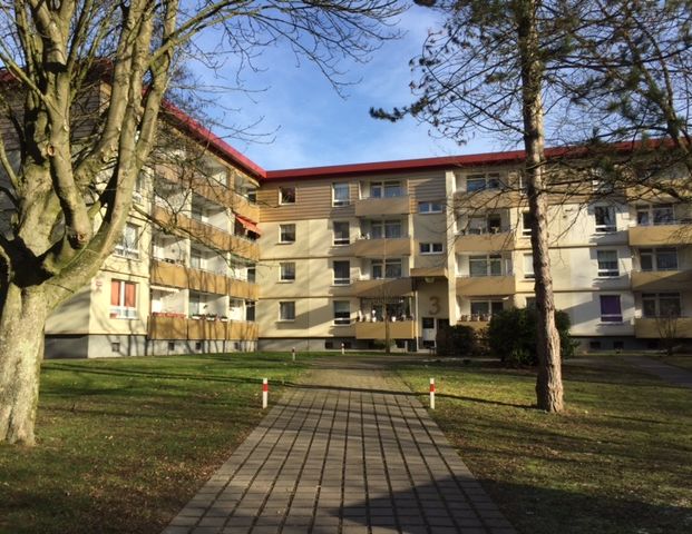 Demnächst frei! 3-Zimmer-Wohnung in Essen Freisenbruch - Photo 1