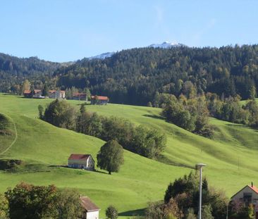 Newly renovated 3-room apartment - Photo 2