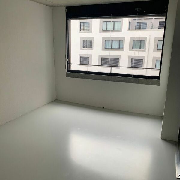Modernes Wohnen - Photo 1