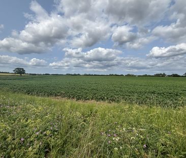 Manor Farm Road, North Walsham, Witton - Photo 2