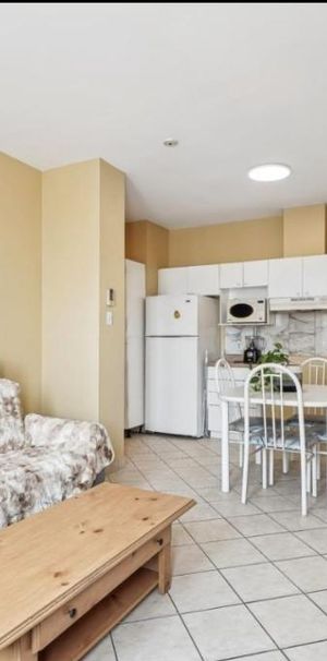 Charmant 3 1/2 à proximité de tout - Photo 1