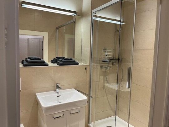 Beautiful furnished 3-room apartment in Carouge (Geneva) - Photo 1