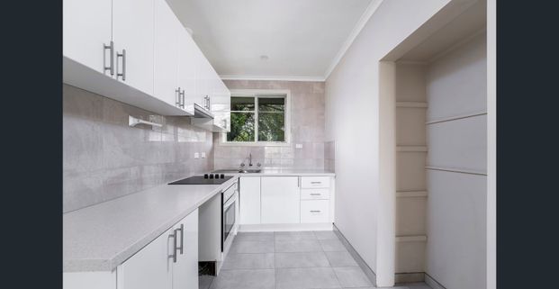 EASY LIVING AT EUMERALLA - Photo 1