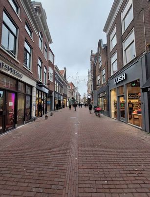 Brinkmannpassage 106, 2011NZ Haarlem - Foto 1