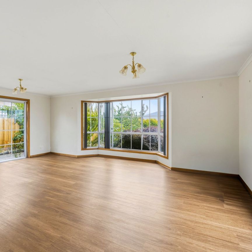 Spacious, Light-Filled Family Home in Peaceful Old Beach - Photo 1